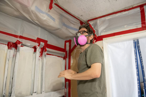 Mold Remediation for Rental Properties in Fairview, UT