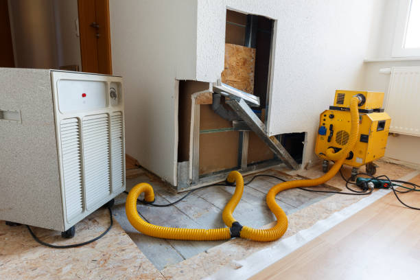 Best Mold Prevention Services  in Fairview, UT